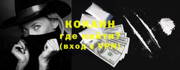 шишки Верхний Тагил