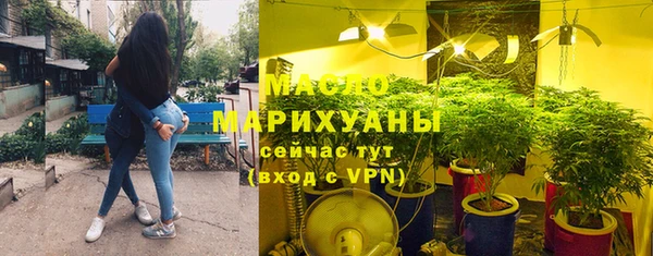 шишки Верхний Тагил