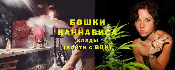 шишки Верхний Тагил