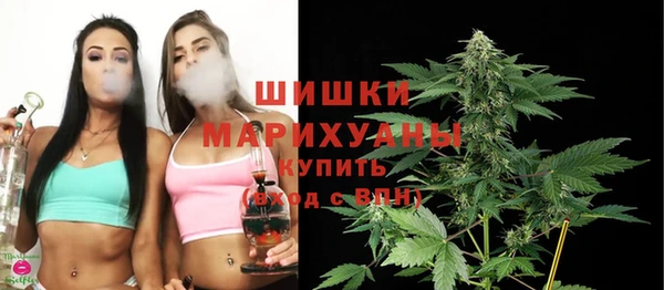 шишки Верхний Тагил