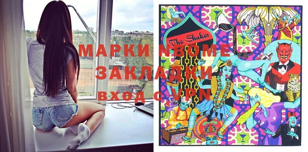 шишки Верхний Тагил