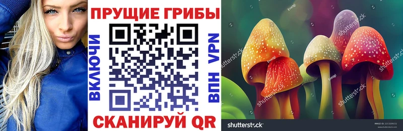 Галлюциногенные грибы мухоморы  Купить закладки  Киренск 